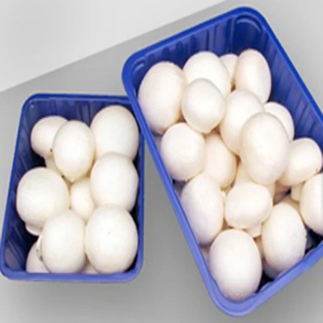 قارچ دکمه ای خوراکی ۸۰۰گرم